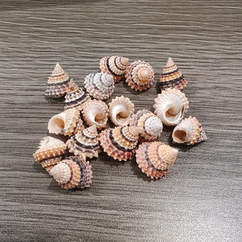 Natural Shell Conch Golden Tower Jade Corn Snail Hermit Crab Replacement Handmade DIY Material Fish Tank Aquarium Decoration