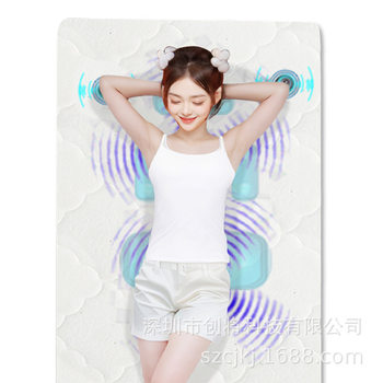 Music Massage Thin Mat for Stress Relief, Sleep Aid, Vibration, Nap Artifact, Multifunctional Single Bed, Foldable, Home Use, Spine Protection