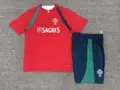 2627 portuguese red