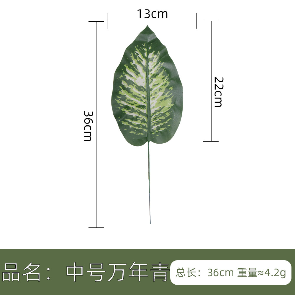 仿真人造植物叶子 单片绿叶春雨叶美人蕉 北欧家居风插花装饰配材