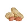 Garlic-Flavored Peanuts 2.5kg Per Bag, Wholesale from the Manufacturer, New Stock, Crispy Peanuts, Fragrant and Crunchy Roasted Peanuts, Large Peanuts, Leisure Snack
