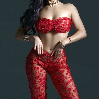 European and American Cross-Border New Design Red Three-Dimensional Flower See-Through Tulle Body-Shaping Sexy Underwear Split Set