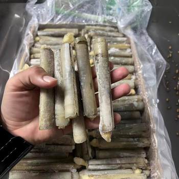 Wholesale Frozen Bamboo Crickets Whole Box 10kg Commercial Sea Crickets Double-Ended Thin Bamboo Crickets Garlic Seafood Shellfish