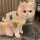 Летняя одежда для домашних кошек против выпадения волос cute ins golden gradient muppet cat Британский короткий летний дышащий жилет mini 8