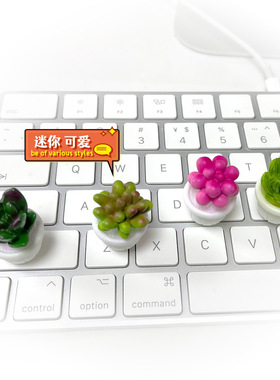 仿真多彩多肉仙人掌汽车导航显示器摆件树脂工艺品电视电脑装饰品