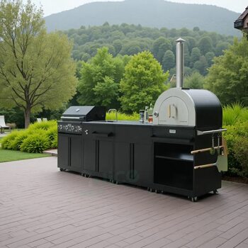 Carbon Gas Dual-Purpose 304 Stainless Steel Manufacturer Built-In Barbecue Grill Outdoor Kitchen Barbecue Grill Gas Barbecue Grill