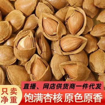 Shelled Almonds with Pits, Hand-Peeled, Large Kernels, Net Weight Nuts, Dried Fruits, Office Snacks