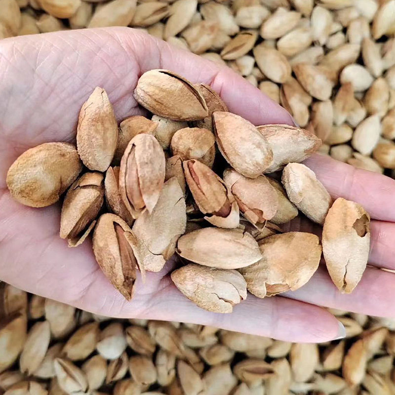 Jinyi Eggshell Almonds Np Open-Shelled Thin-Crusted Salted Almonds in Bulk Dry Fruits Whole Box Snacks Wholesale