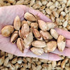 Jinyi Eggshell Almonds Np Open-Shelled Thin-Crusted Salted Almonds in Bulk Dry Fruits Whole Box Snacks Wholesale