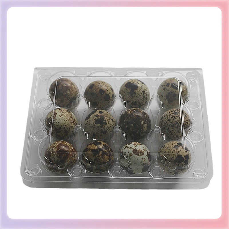 Quail Egg Packaging Box Transparent Blister Pet Plastic Egg Tray Jiabao Fruit Packaging Box Manufacturer Wholesale General Packaging