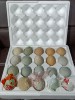 Egg Tray Plastic Foam Shock-Proof Express Packaging 30 Pieces Anti-Pressure Duck Egg Packaging Box Egg Tray Henan Boiled Egg Foam Tray