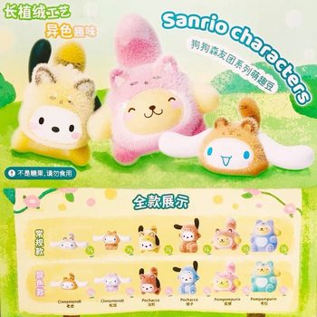 Jane Mengqu Genuine Sanrio characters Dog Senyou Group Series Mengqu Bean Blind Box 24MQD-03