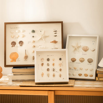 Hollow three-dimensional dried flower photo frame DIY shell conch decorative picture frame manufacturer light painting hollow 5 butterfly specimen frame