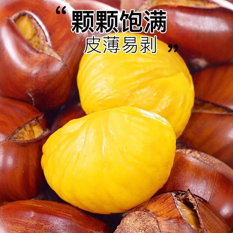 2025 Fresh Raw Chestnuts from Dandong, Seasonal Raw Chestnuts, Fresh Chestnuts, Newly Picked Tender Wild Chestnuts, Large Chestnut Kernels
