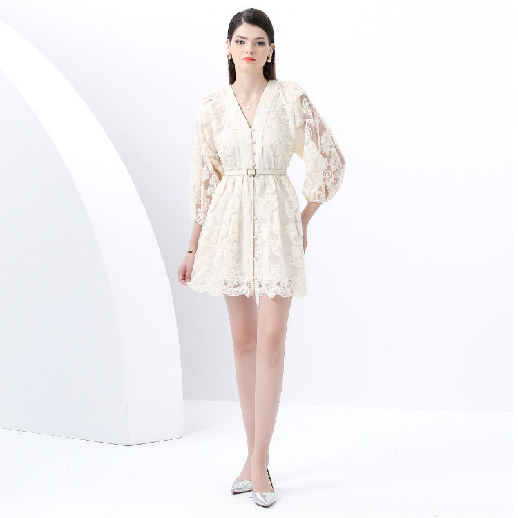 Elegant A Line Dress for Women V Neck Lantern Sleeves Embroidered Waist Defined Slim Fit French Court Style