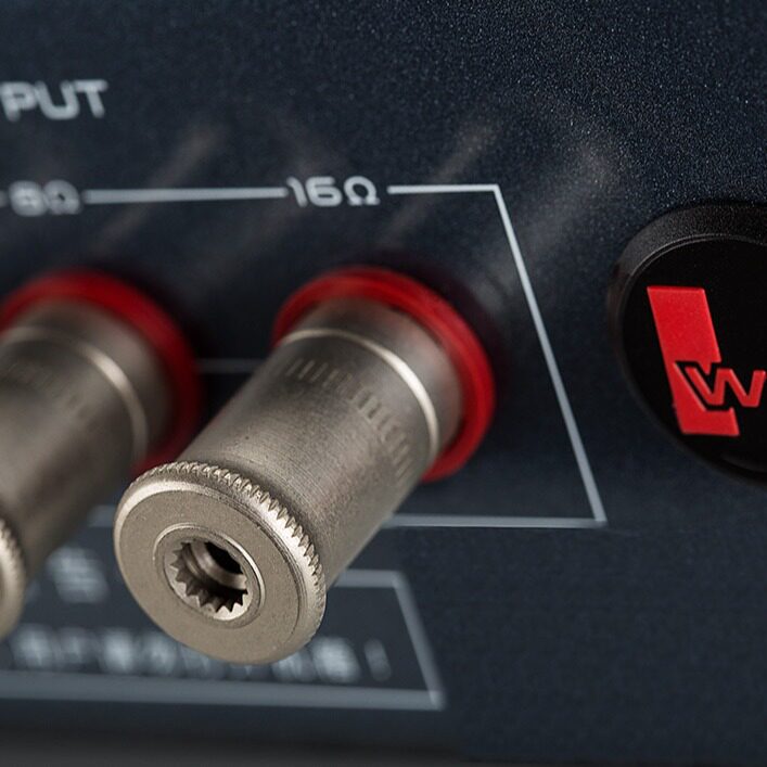 Cayin Kayin Spock M-845D Fever Class Electronic Tube High Power Gallbladder Front and Rear Class A Power Amplifier