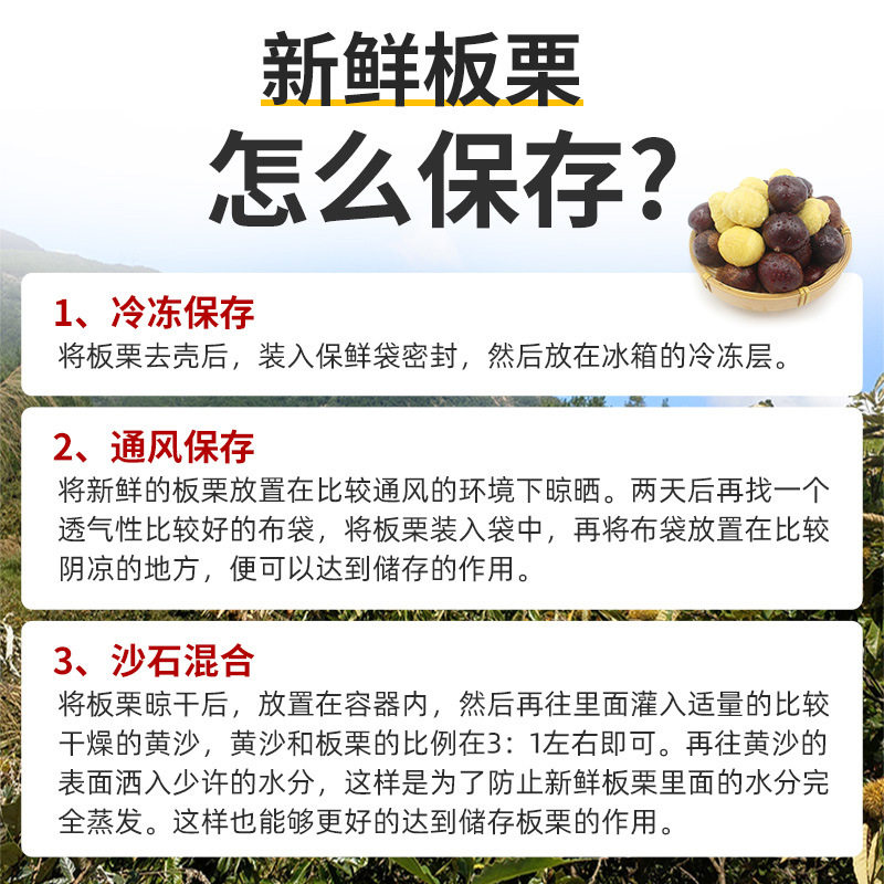 Dandong Chestnuts, Fresh Chestnuts, Tender and Large Chestnuts, Farm Orchards, Freshly Picked Chestnuts from the Tree