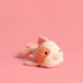 Good luck koi 20cm