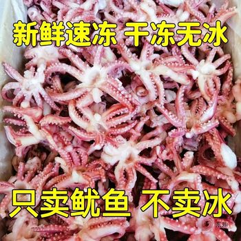 Fresh Frozen Small Squid Tentacles, Three Removed Squid Heads, Small Eight-Claw Tentacles, Net Weight Without Ice Coating, Barbecue Catering Ingredients Wholesale