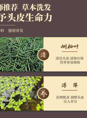 侧柏叶洗发皂无硅油不假滑女士养发护发侧柏浮萍冷制手工洗头皂