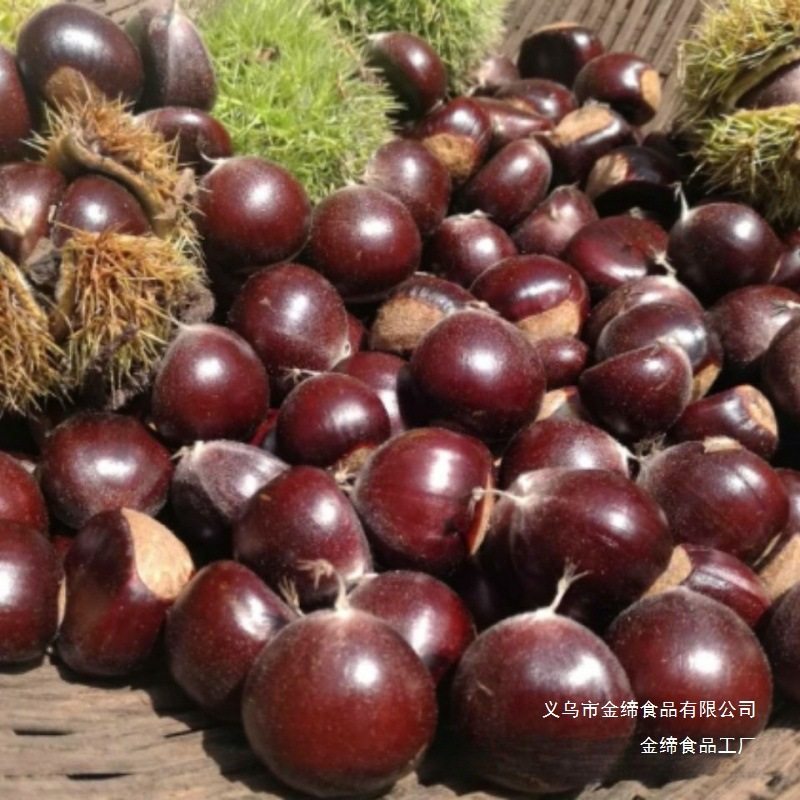 Fresh Dandong Chestnuts, Fresh Chestnuts, Tender Large Chestnuts, Wild Qianxi Chestnuts, Oil Cone Chestnuts