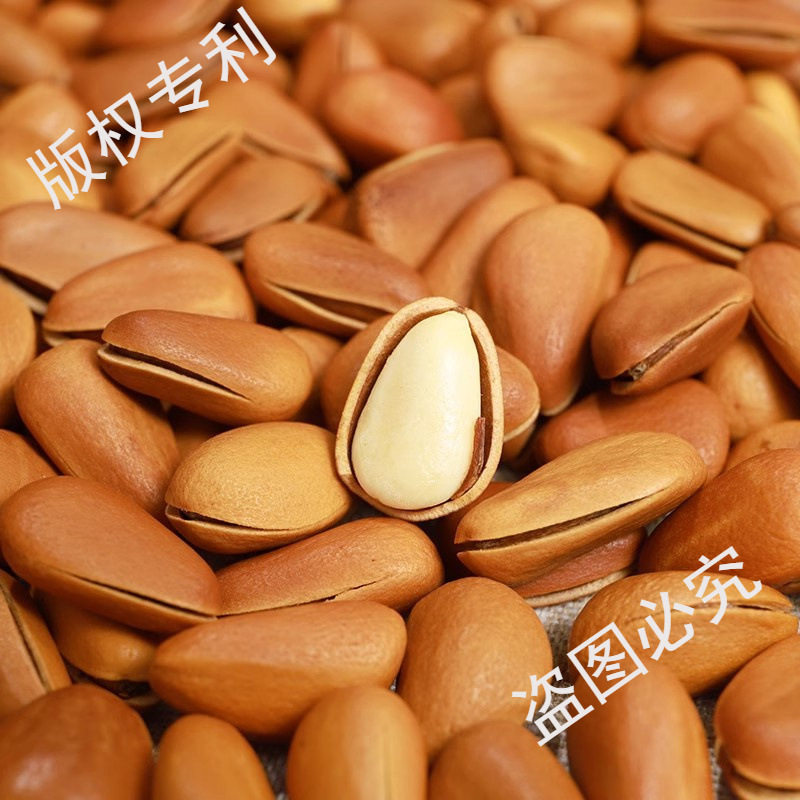 Premium Extra Large Northeastern Pine Nuts Bulk Large Grains 500g Original Flavor Red Pine Nuts for Pregnant Women Canned New Arrival