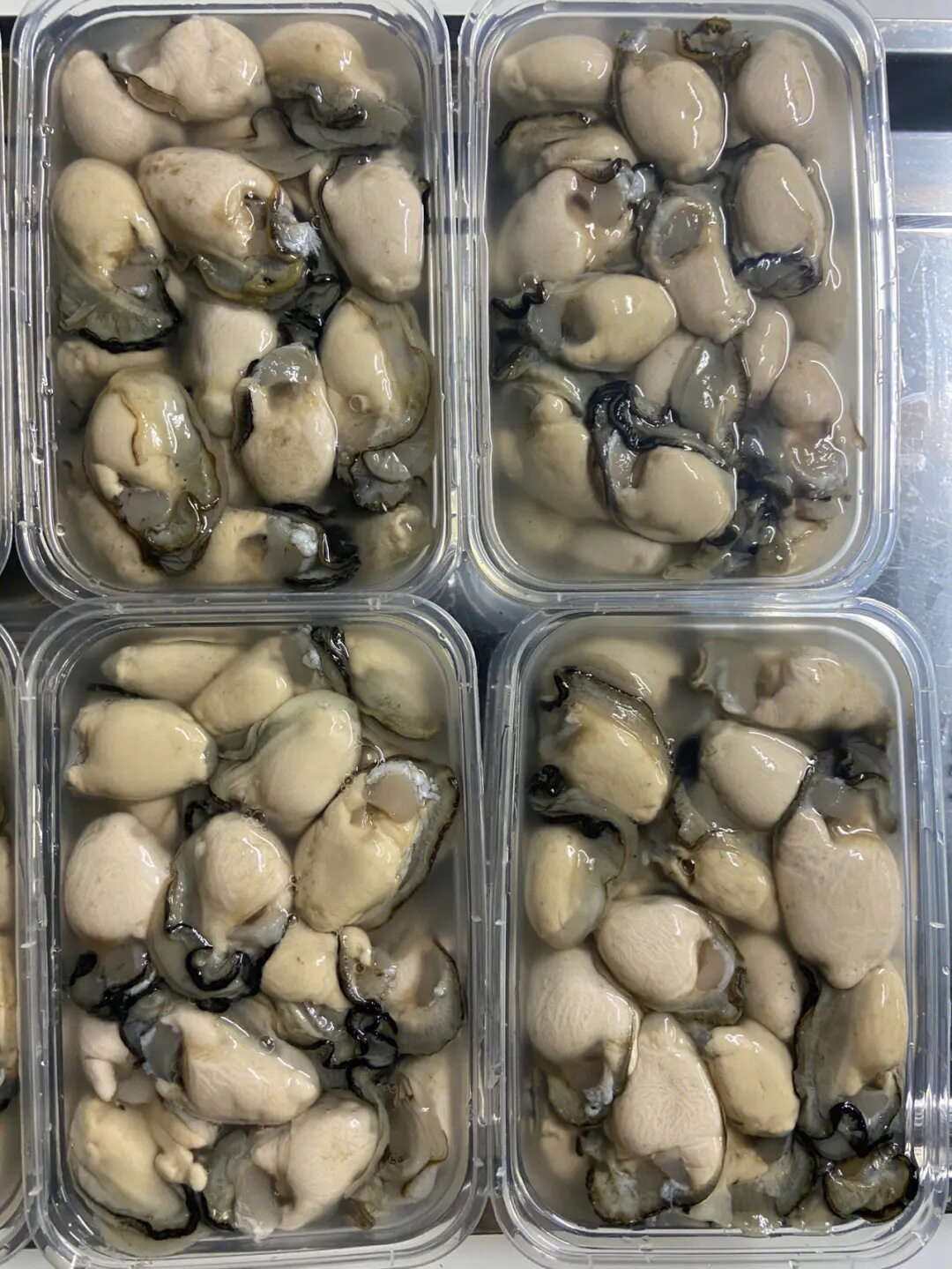 Oyster Meat, Frozen Oyster Meat, Freshly Shucked Oyster Meat, Oyster Meat, Fresh Grilled Oyster Meat