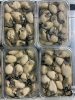 Oyster Meat, Frozen Oyster Meat, Freshly Shucked Oyster Meat, Oyster Meat, Fresh Grilled Oyster Meat