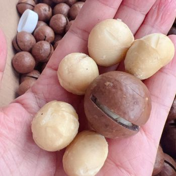 Macadamia Nut Street Stall E-Commerce Wholesale Macadamia Nut Pecan Almond Pistachio Dried Nuts Snacks Dried Fruit