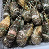 Live Frozen Vietnamese Small Green Lobster, Live Frozen Shrimp, Frozen Shrimp, Live Seafood, Frozen Products Wholesale and Retail