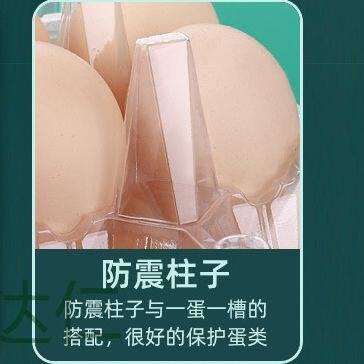 Disposable plastic egg holder with buckle and lid shockproof transparent Earth egg packing box factory direct free shipping