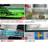 Ultra-Clear Glass Aquarium Rectangular Small to Medium-Sized Living Room Home Bare Tank Desktop Tank Turtle Tank Factory Direct