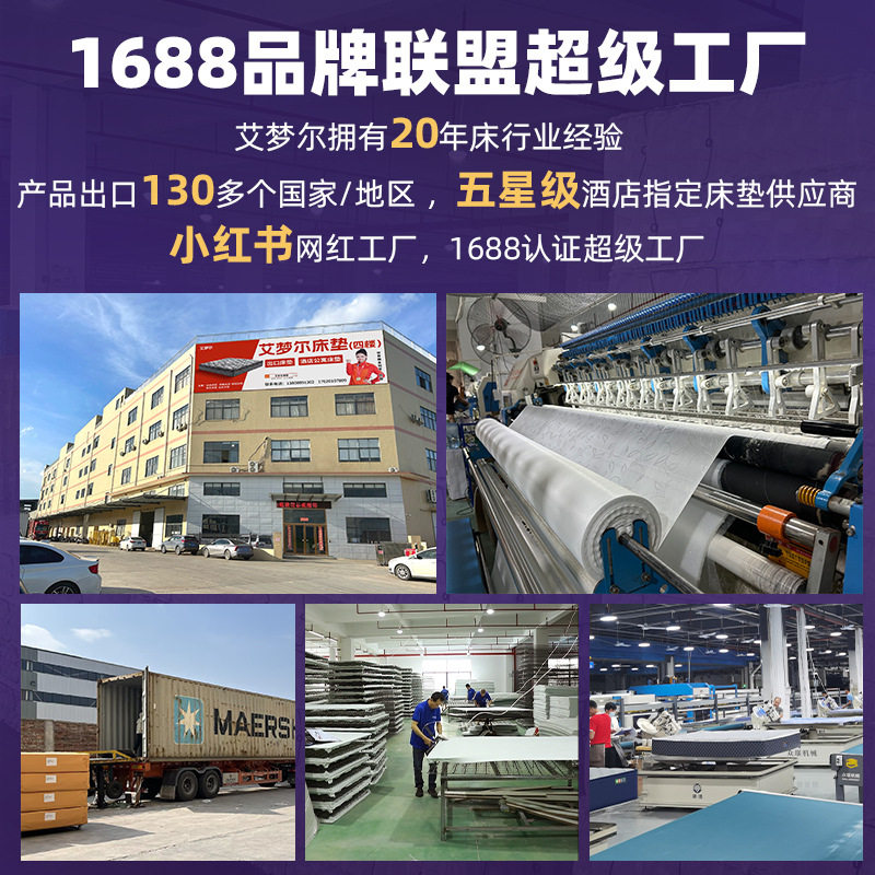 Blue Box Mattress Cross-Border Independent Spring Latex Hotel Customization