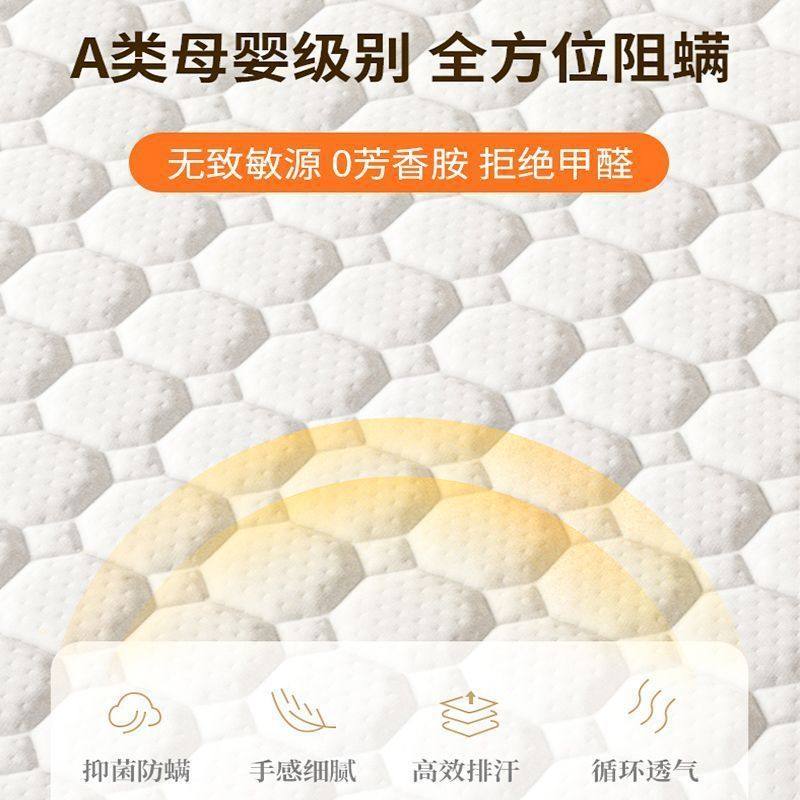 Student Dormitory Bunk Bed Foldableing Mattress Natural Coconut Palm Latex 70% off Stack Adult Sleeping Mat Tatami