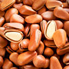 New Northeastern Pine Nuts Specialty Grade Large Particles 500g Nuts and Dried Fruits Bulk Snacks Open Wholesale Roasted Seeds 2025