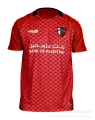 2526 styles - palestinian floral red