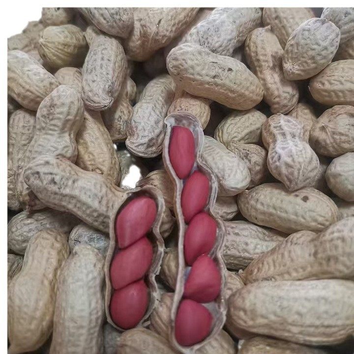 Shelled red Peanut Wholesale Sun-dried Raw Peanut 49.5 Jin Cereals New Small Seed Red Coat Peanut Northeast 4