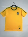 2010 brazil home court