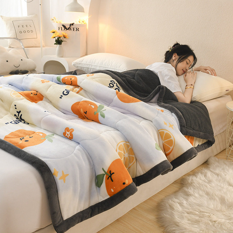New Thickeneded Warm Milk Velvet Blanket Ab Style Small Fresh High Weight Beibei Velvet Blanket Lamb Velvet Blanket