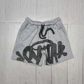 13 gray shorts (accessories + bag)