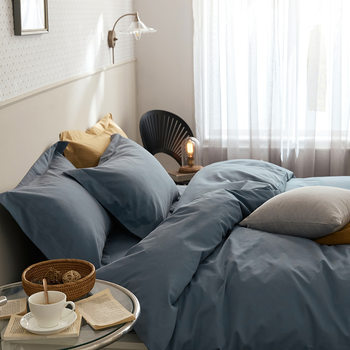 Autumn and winter thick 100 cotton sanding four-piece set simple Nordic cotton quilt cover bed sheets bedding