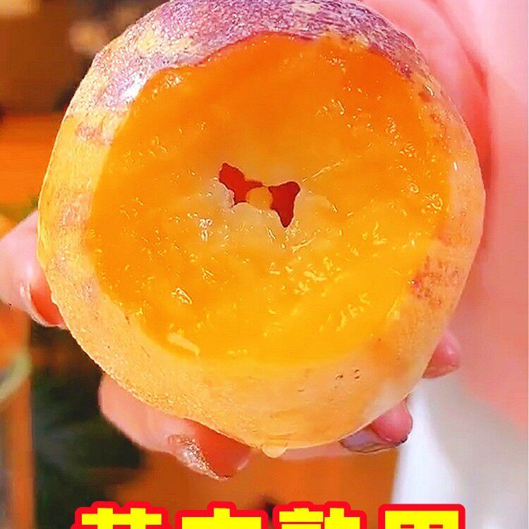 Gansu Desert Ginseng Fruit 5kg Large Fresh Fruits Doll Fruit Yellow Flesh Colorful Ginseng Fruit