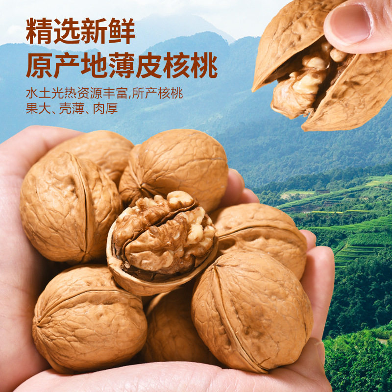 Whole Box of Paper-Skinned Walnuts, Wholesale New Dried Fruits, Xinjiang New Arrivals, Cooked Original Flavor Roasted Thin-Skinned Walnuts, Nuts, Roasted Seeds and Nuts Snacks