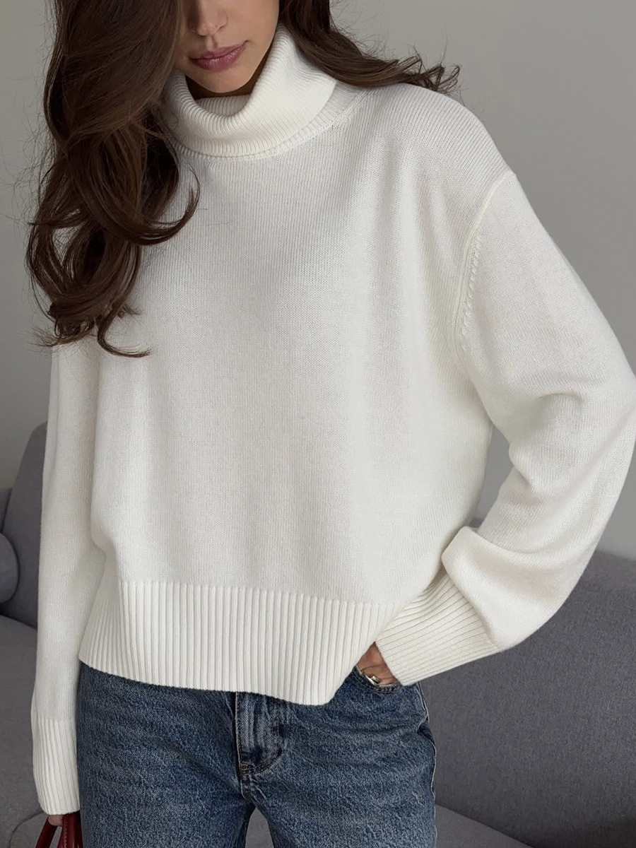 Womens Chunky Knit Sweater Solid Color Turtleneck Loose Fit Casual Autumn Winter Top Wholesale Available