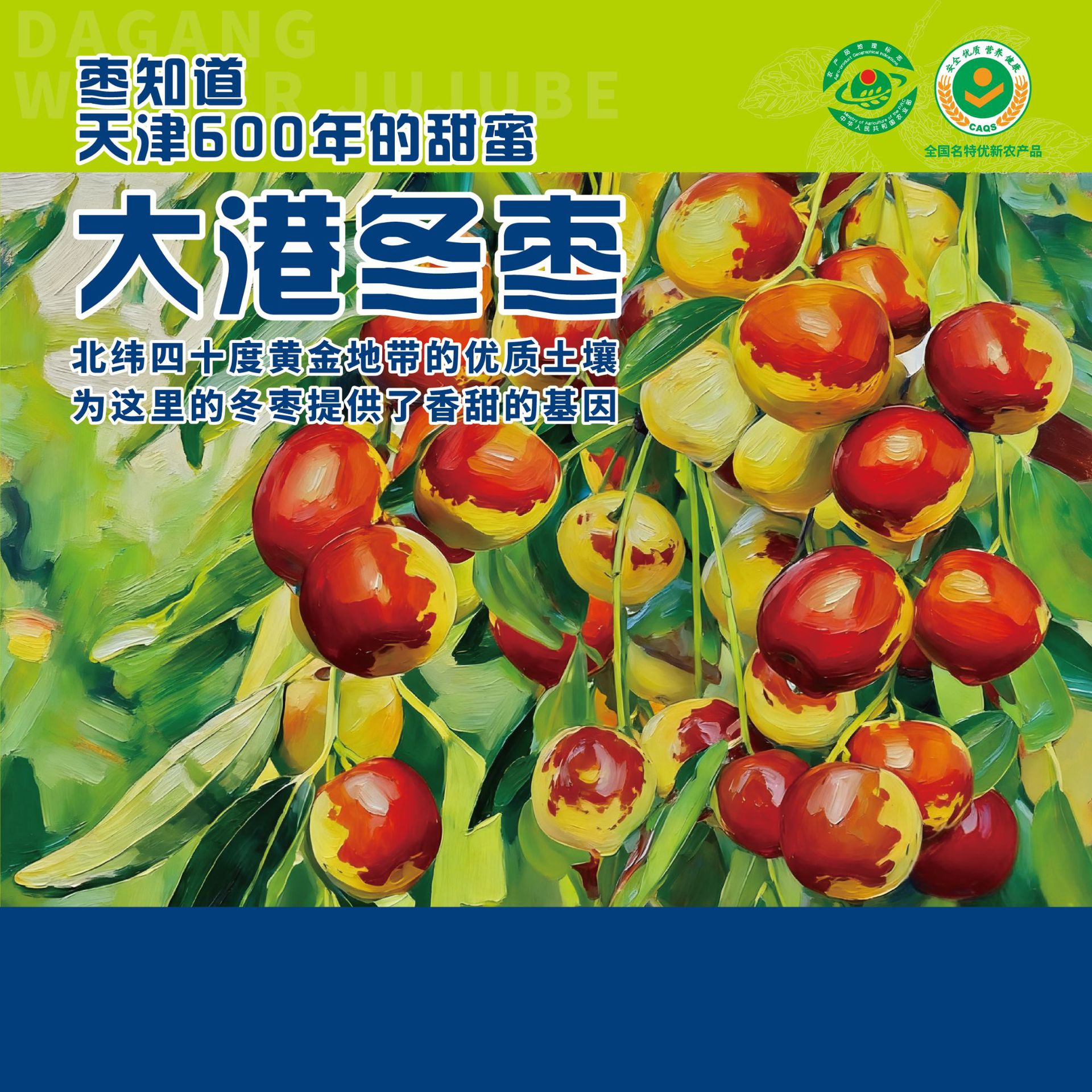 天津大港冬枣个大脆甜核小无渣水果鲜枣特惠5斤简装