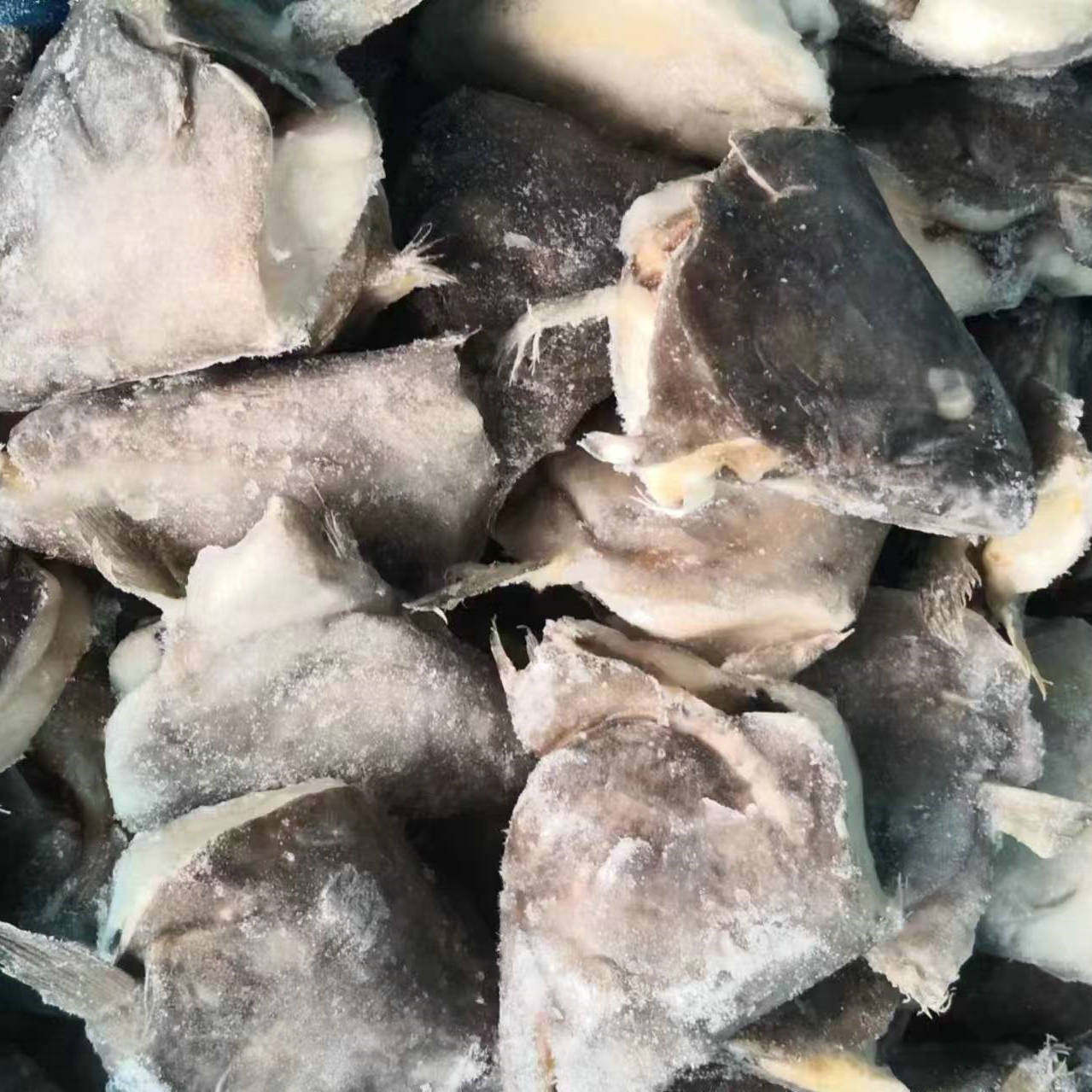 Fresh Discus Fish Head, Frozen Turbot Fish Head, Deep-Sea Fresh Flounder, Abalone Fish, Commercial Wholesale High-Quality Seafood