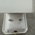 Silver earrings