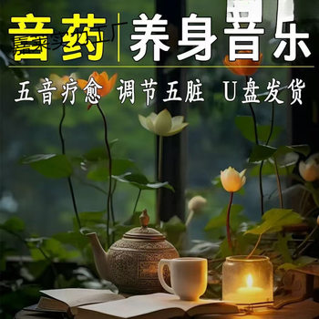 Meditation and Health Care Light Music USB Flash Drive Lossless High-Quality Chinese Music Five-Tone Master Beauty Salon Tea Room Soothing and Relaxing USB