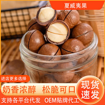 Macadamia Nuts Wholesale Daily Nuts Original Flavor New Baked Goods Whole Box Bulk Wholesale Macadamia Nuts