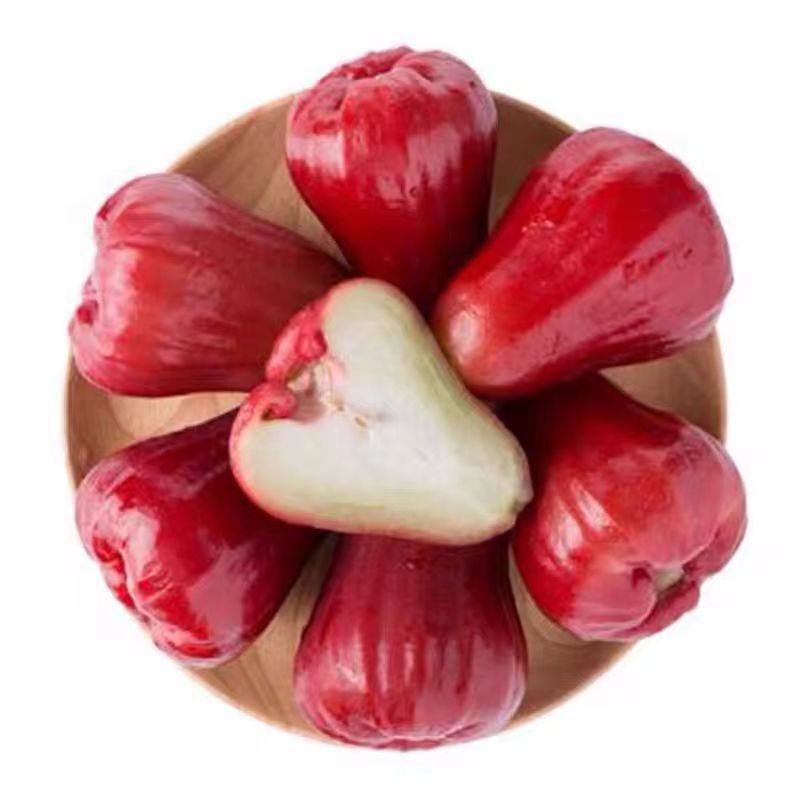 海南黑金刚莲雾5礼盒马到成功年货热带水果冬季补水酥脆莲雾顺丰,淘宝优惠券,粉丝福利购,淘宝优惠卷